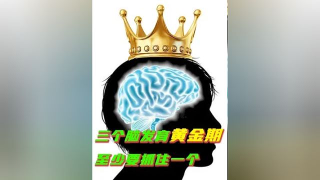 孩子大脑发育三个黄金期,至少要抓住一个!#人类幼崽 #教育孩子 #硬核知识局