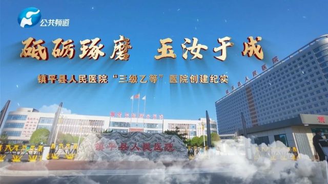 砥砺琢磨 玉汝于成 | 镇平县人民医院“三级乙等”医院创建纪实