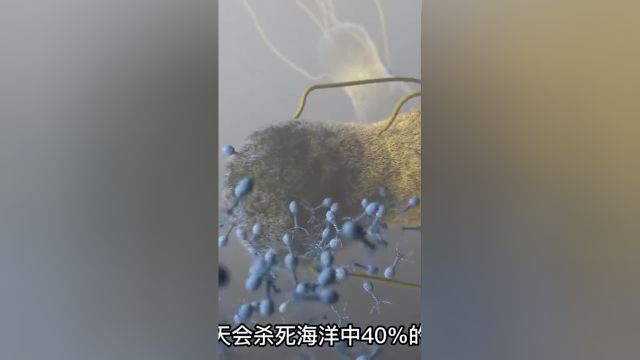 噬菌体—酷似人体内真实存在的“纳米机器人”科普涨知识微生物噬菌体生命科学##1