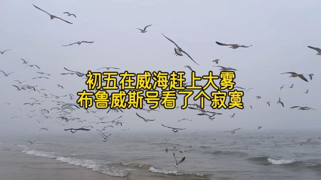 大年初五在威海吃了饺子,去那香海和布鲁威斯号打卡点赶上大雾了