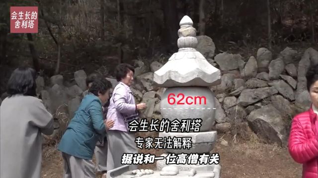 会“生长”的舍利塔,专家无法解释,据说和一位高僧有关