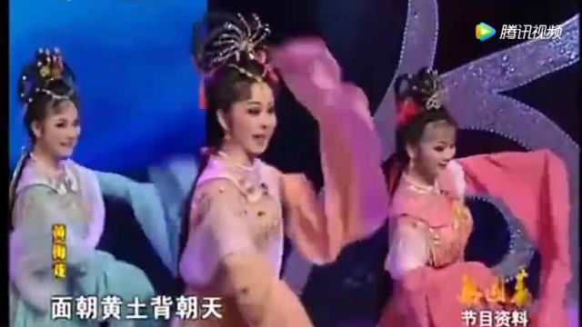 黄梅戏《天仙配ⷠ七仙女下凡》太美了