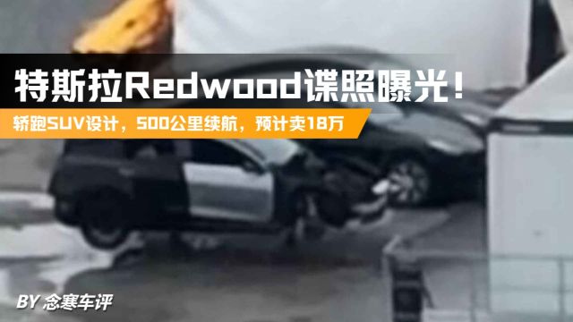 特斯拉Redwood谍照曝光!轿跑SUV设计,500公里续航,预计卖18万