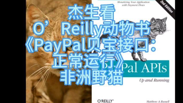 杰生看动物书020《PayPal贝宝接口:正常运行》非洲#野猫#动物世界