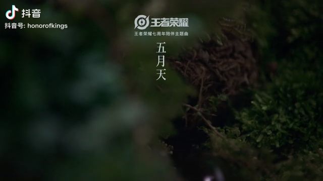 锡锡喜欢看 你的神曲.