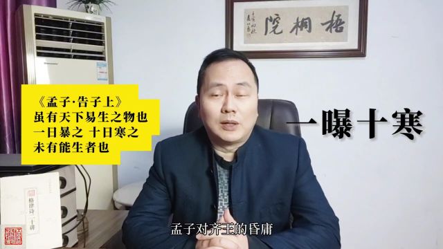 成语“一曝十寒”出自哪里,有何历史背景和延伸典故?