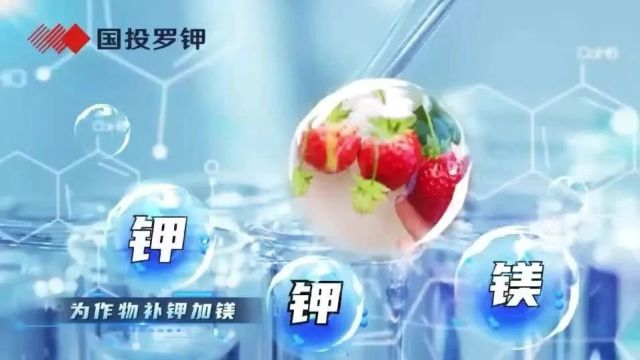 无息贷款助农!种精品水果选好肥料看过来!