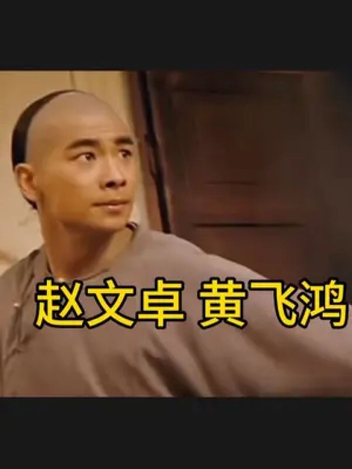 武打动作 #黄飞鸿 #赵文卓