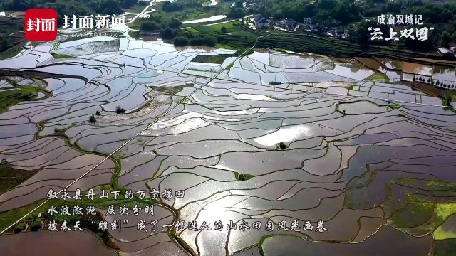 四川百个“最美观景拍摄点”之一,叙永丹山万亩梯田春光美