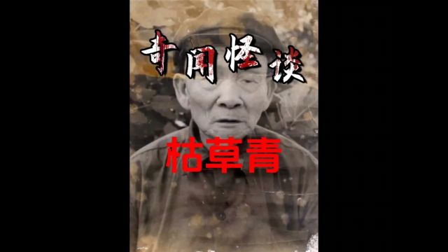 铜梁县枯草青一生活了348岁,真的这么神奇么?