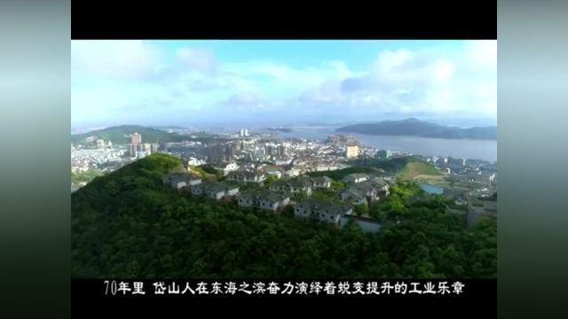 海岛工业 乘势而上立潮头四十六