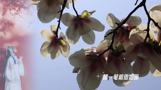 春暖花开的日子,总会与幸福不期而遇