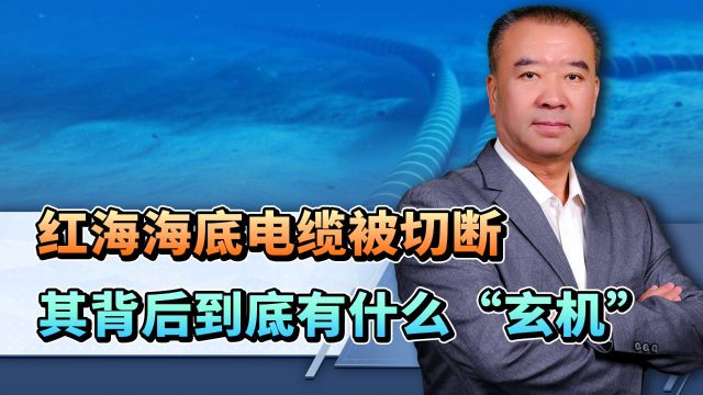 红海海底电缆被切断,其背后到底有什么“玄机”