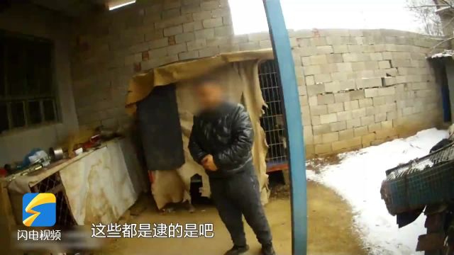 用猎犬非法狩猎草兔、环颈雉 济南警方当场查获“三有”保护动物35只