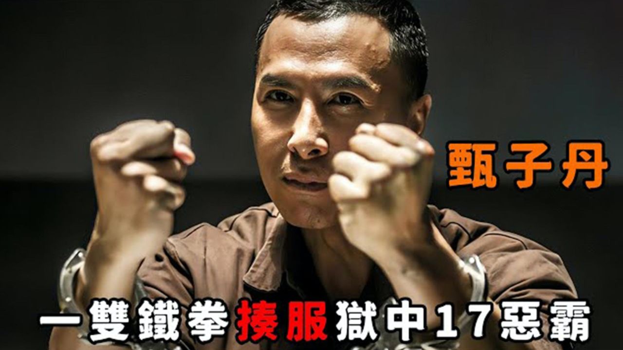 "甄子丹"化身武林第一高手,一双铁拳揍服狱中17恶霸,连武痴"王宝强"都