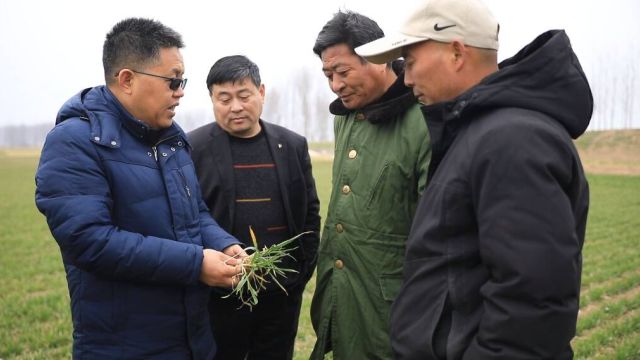 “智汇春耕”进田间 技术惠农正当时