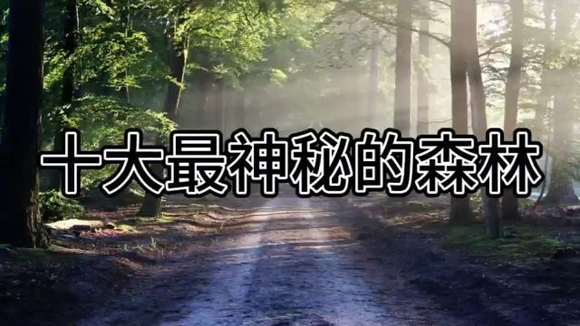 绿野仙踪:世界十大最神秘的森林