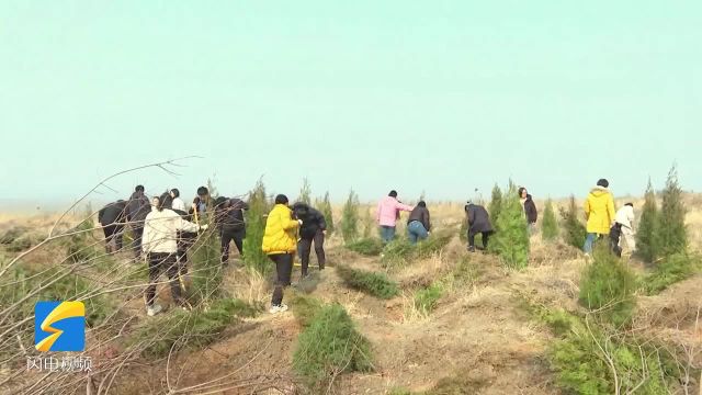 潍坊市潍城区:植树造林播撒希望 美化环境保护自然