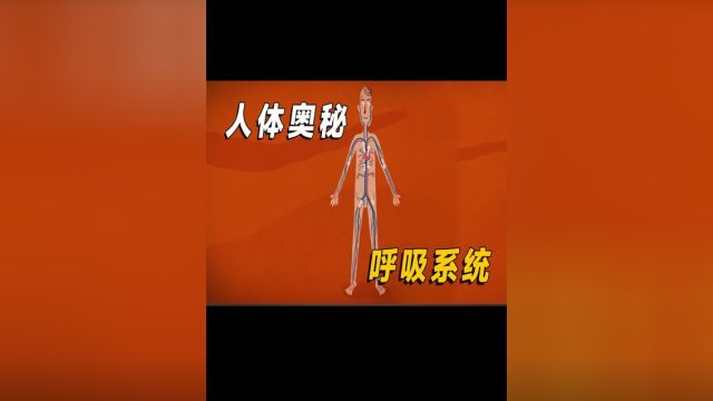 原来呼吸系统只为服务氧气提取而存在!#涨知识