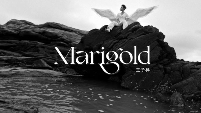 王子异Marigold 概念片