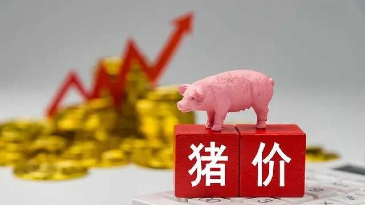 "二育"升温,南方猪价"涨疯了"!