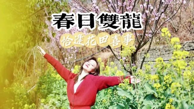 多彩贵州ⷨŠ𑦼𞤸�𝠼 这个春天,去双龙镇赴一场“花田喜事”