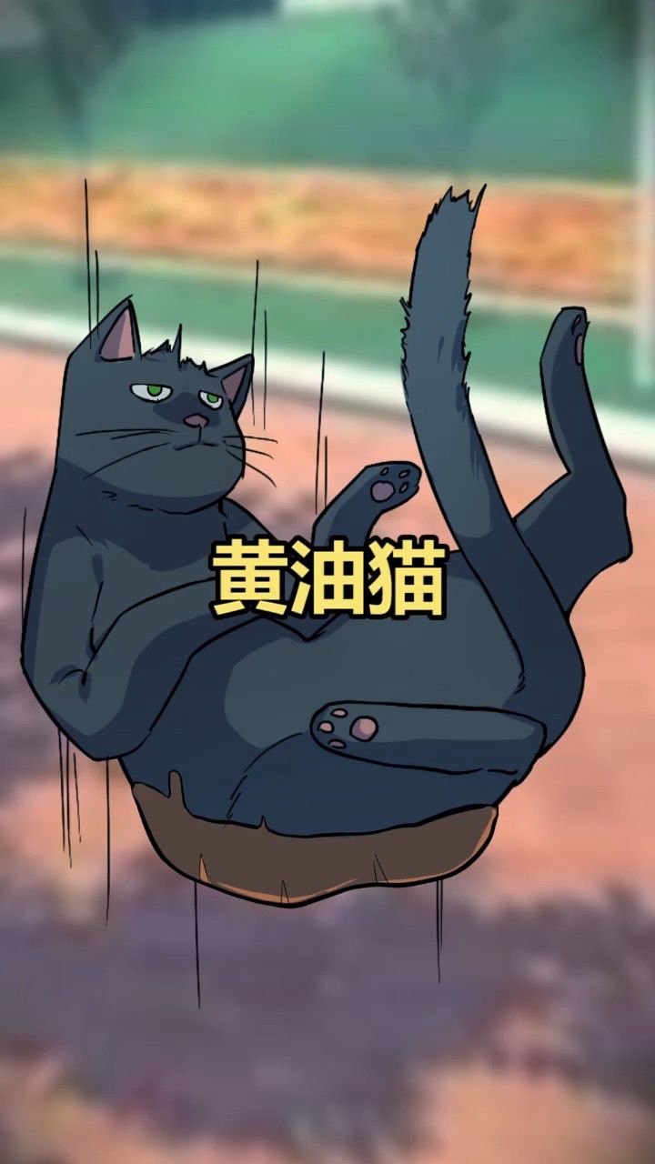 黄油猫!