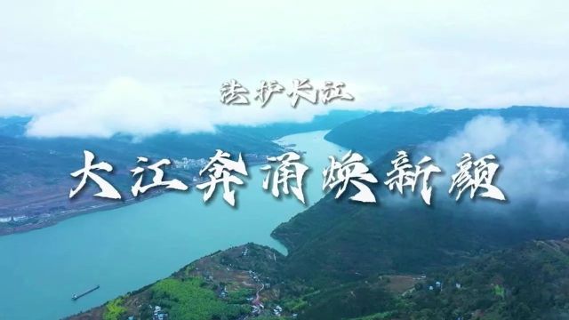 法护长江系列报道(三)| 大江奔涌焕新颜