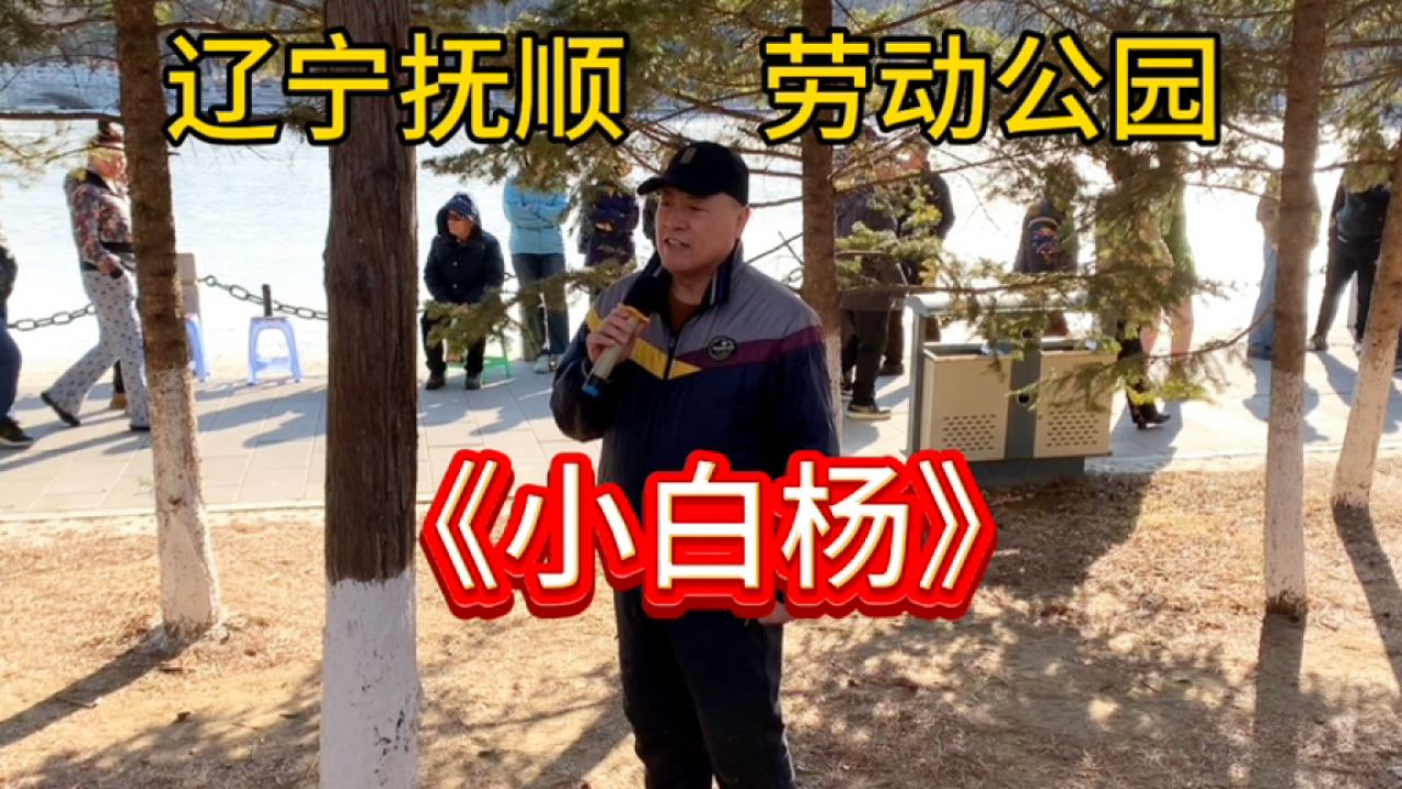 抚顺劳动公园,大哥现场为大家演唱《小白杨》,分享给大家.