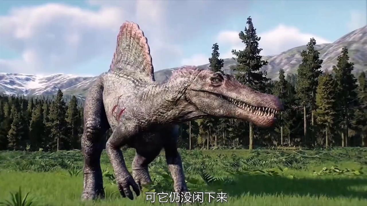 战神棘背龙vs霸王龙!