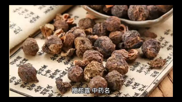 中药橄榄露