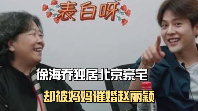 徐海乔独居北京豪宅,却被妈妈催婚赵丽颖,不孕不育成导火索?