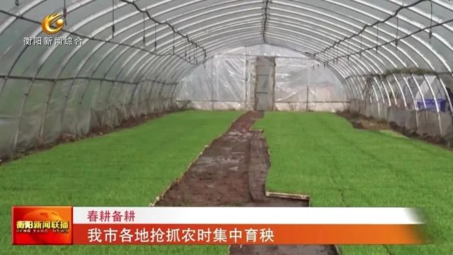 春耕备耕 我市各地抢抓农时集中育秧