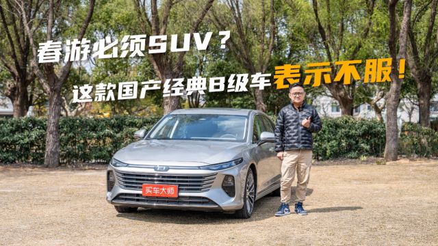 春游必须SUV?这款国产经典B级车表示不服!