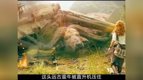 巨兽金刚大战骷髅巨蜥完整版