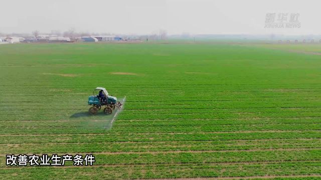 河北辛集:加快建设高标准农田促进粮食增产增收