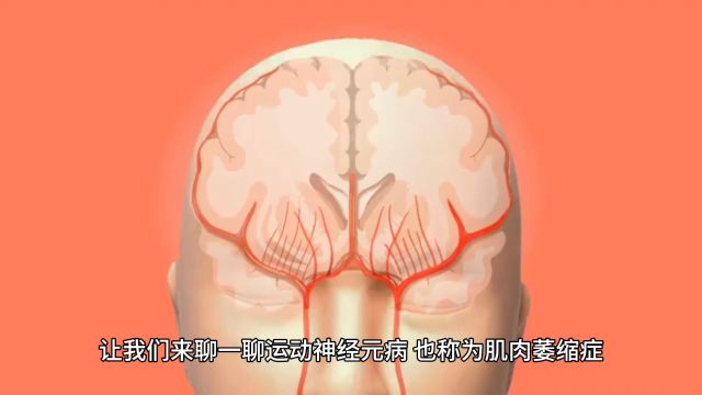 运动神经元病需做哪些检查?为确诊ALS需要进行的检查有:(1)血液学检查:包括肌酶、甲状腺功能、维生素B12、血清蛋白电泳和