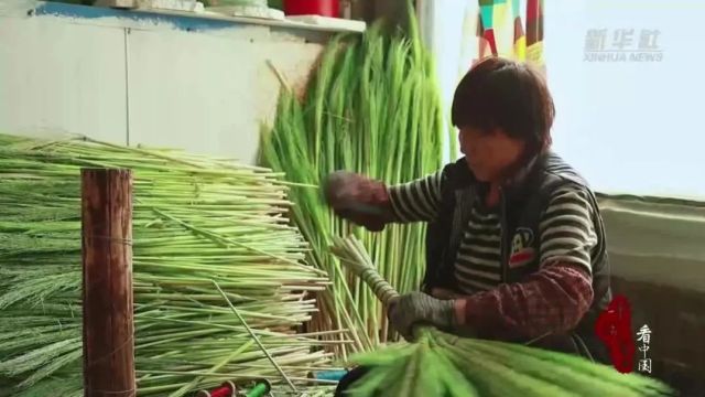 千城百县看中国|河北乐亭:“小笤帚”扎成“大产业”