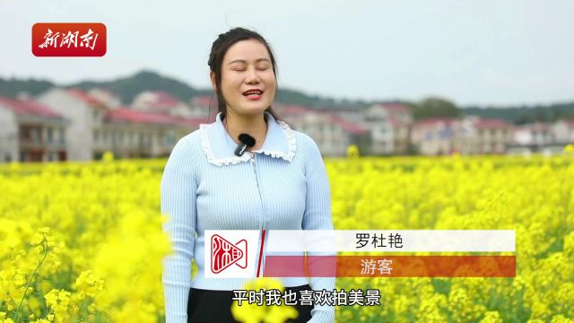 茶陵:万亩繁花春色闹 美丽经济引客来