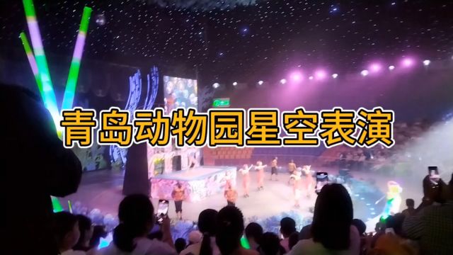 青岛动物园星空剧场精彩表演