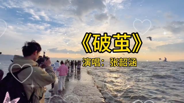 《破茧》张韶涵演唱版本歌曲,念念不忘,必有回响