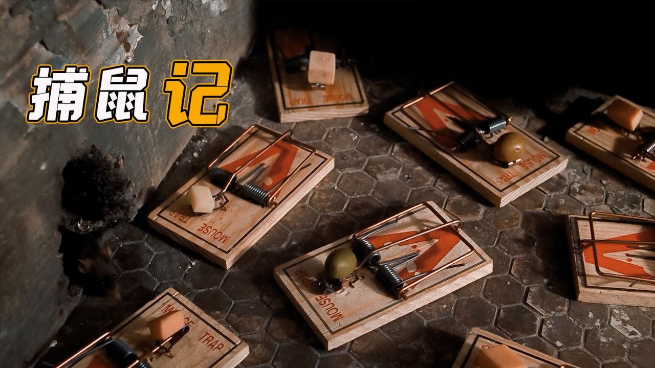 高智商老鼠为了复仇,拆了一栋别墅,最终成为美食品尝家,喜剧