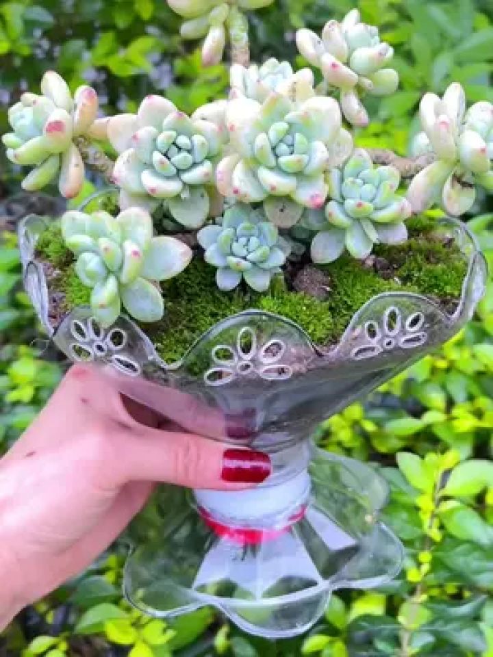 用油桶做花盆吧好看又实用#手工 #自制花盆 #手工花盆#变废为宝