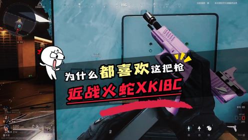 XK18C与G18C的魅力终于知道为什么大家都喜欢这把枪了#三角洲行动#三角洲绿洲营地_高清1080P在线观看平台_腾讯视频