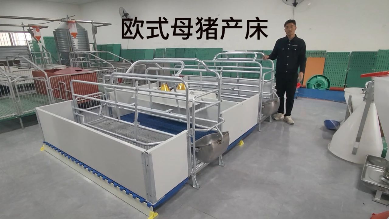 双猪位欧式母猪产床,长2.4米,宽3.6米