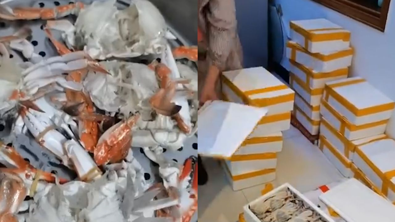 男子服务区被套路买30箱空壳螃蟹 妻子:只能煮熟晒干喂鸡