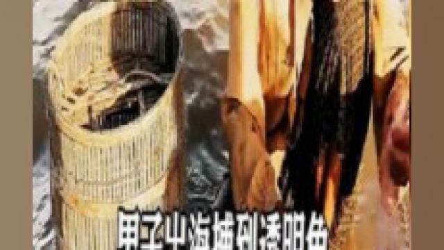 透明鱼是什么东西?你猜到了吗?科普涨知识