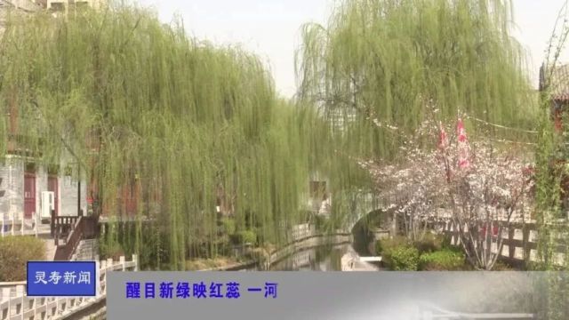 醒目新绿映红蕊 一河春水半城花