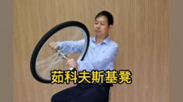 茹科夫斯基凳#科学