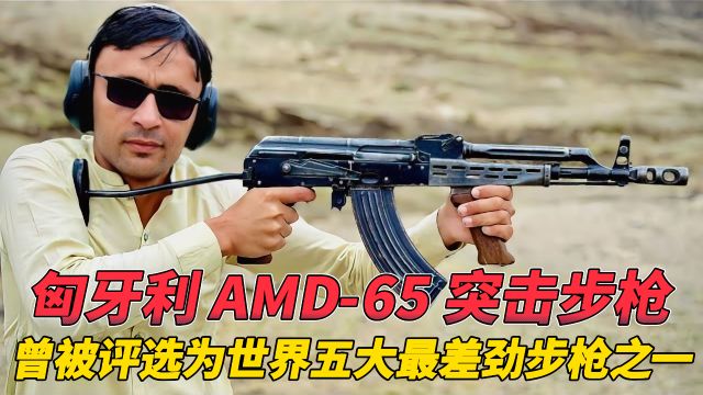 匈牙利 AMD65 突击步枪:曾被评选为世界五大最差劲步枪之一